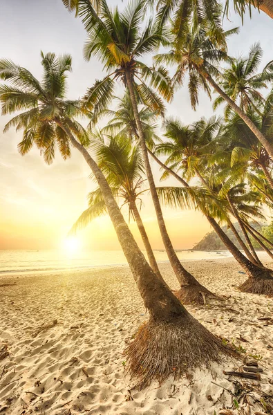 Playa de Ngapali en Myanmar — Foto de Stock