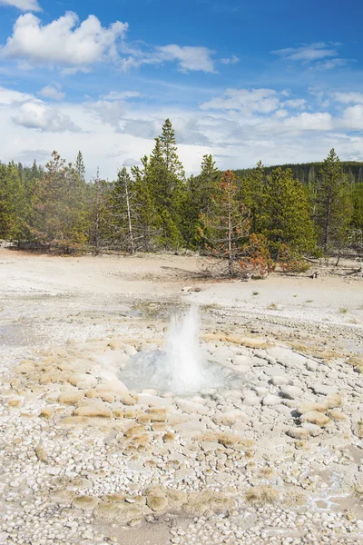 Füchsinnen-Geysir bricht aus — Stockfoto