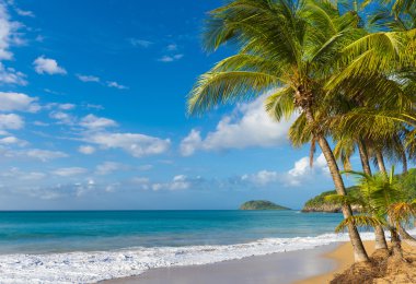 Pearl Beach in Guadeloupe clipart
