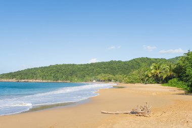 Guadeloupe Pearl Beach