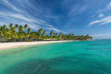 Guadeloupe Beach'te Caravelle