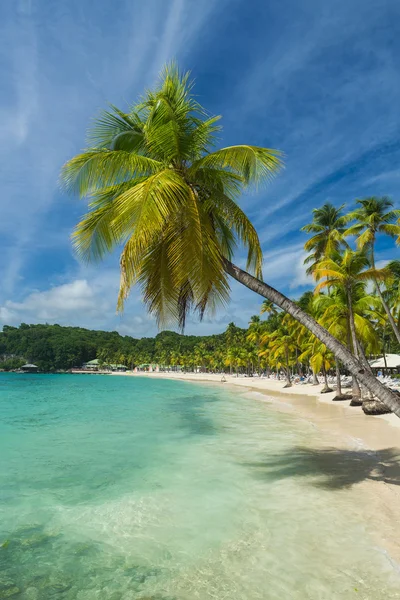 Caravelle strand in Guadeloupe — Stockfoto