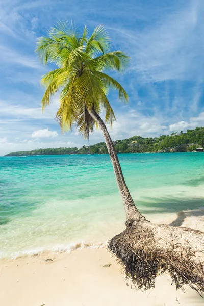 Caravelle plaży w Guadeloupe — Zdjęcie stockowe