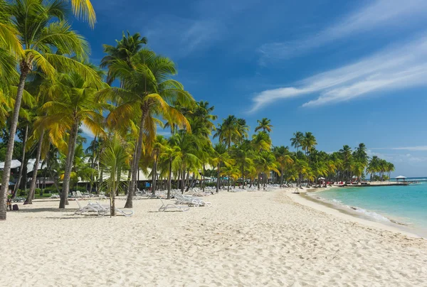 Caravelle beach in Guadeloupe — Stock Photo, Image