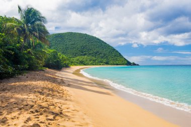 Grand anse Plajı