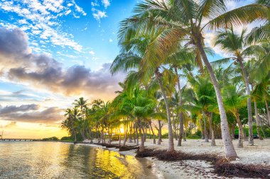 Guadeloupe Anse Chamapgne