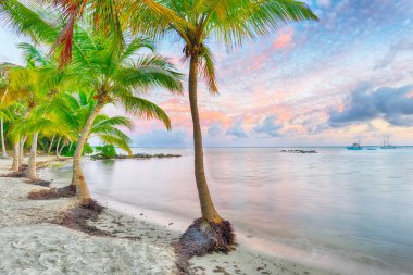Guadeloupe Anse Chamapgne
