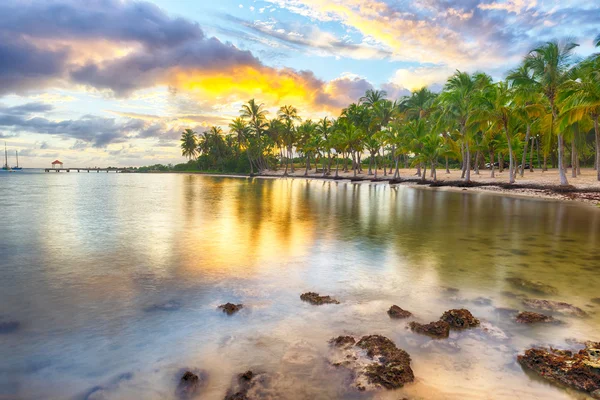 Anse Chamapgne v Guadeloupe — Stock fotografie