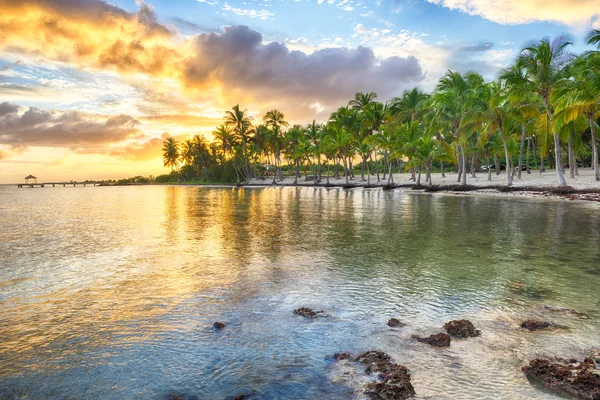 Guadeloupe Anse Chamapgne — Stok fotoğraf