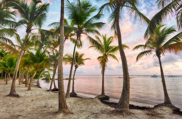 Anse Chamapgne in Guadalupa — Foto Stock