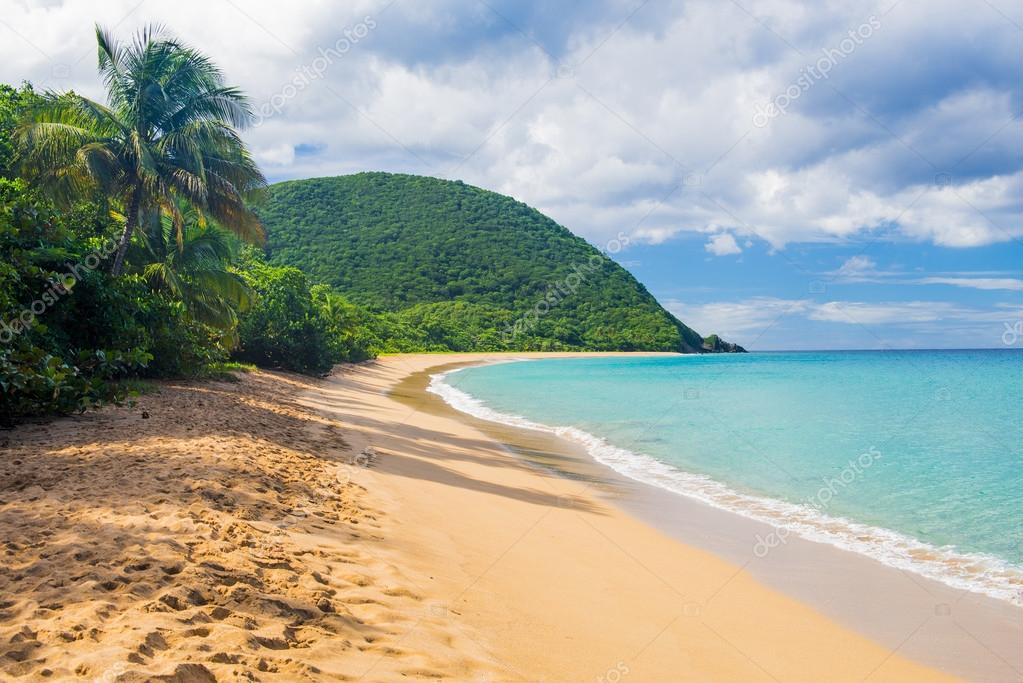 Grand Anse Beach — Stock Photo © fyletto 106310796