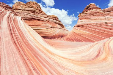 Dalga merak ediyorum