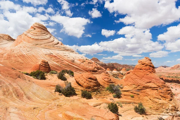 Coyote Buttes in Utah, USA — Stock Photo, Image