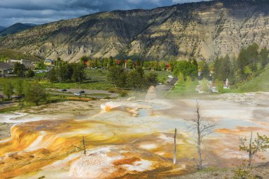 Mamut teraslar Yellowstone Milli Parkı'nda