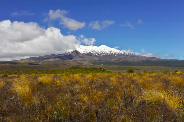 Mt. Vulcano Ruapehu — Foto Stock