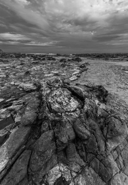 Paisagem Florestal Petrificada — Fotografia de Stock