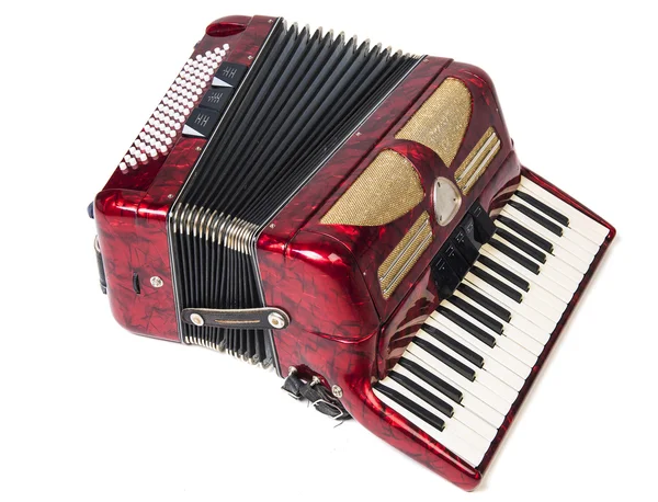 Accordeon op wit — Stockfoto