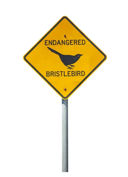 Signo Australiano Pájaro Cerdoso Peligro Extinción Cruzando Carretera Aislado Blanco —  Fotos de Stock