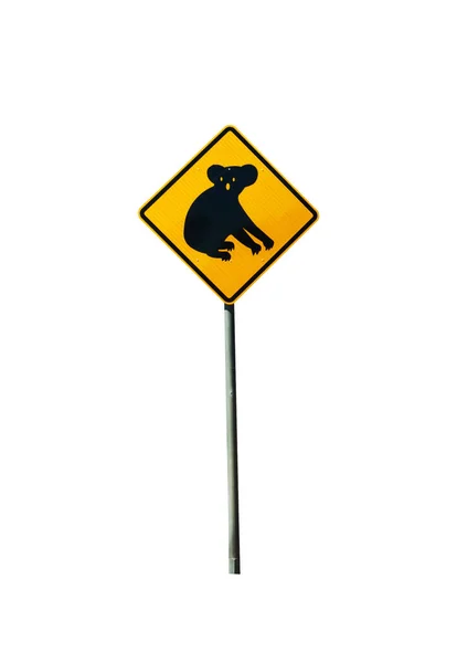 Semnul Australian Ursului Koala Traversând Drumul Izolat Alb — Fotografie, imagine de stoc