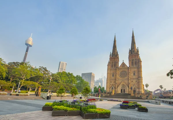 Mary Cathedral Sydney Seen Cook Philip Park Australia — Stock Photo, Image