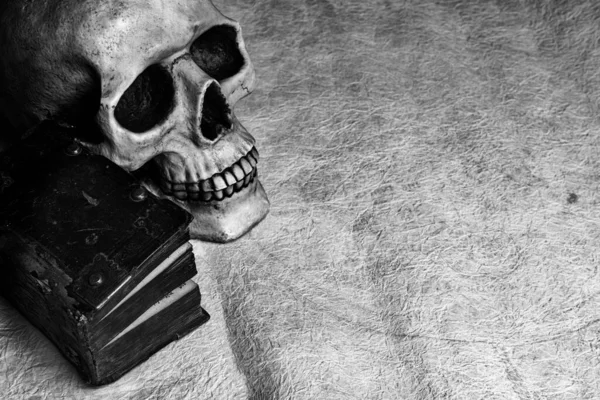 Ancient Diary Lying Together Human Skull Old Grungy Parchment — Stock Photo, Image