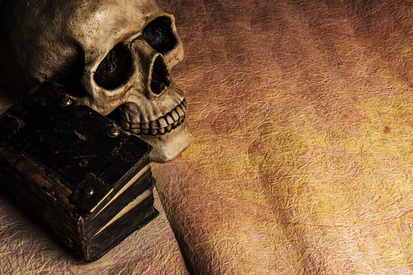 古代の日記は人間の頭蓋骨と一緒に横たわっていた古いGrungy羊皮紙の上に — ストック写真