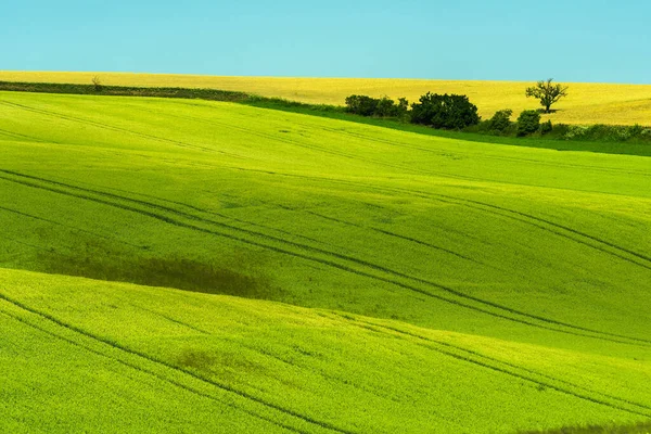 チェコ共和国の南モラヴィアの美しい丘陵地帯 春には特に美しい畑が美しく波打つ — ストック写真