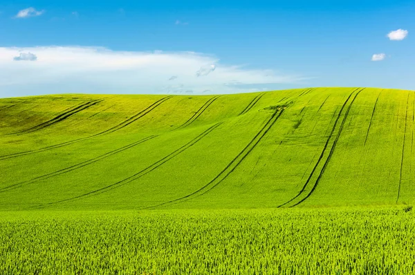 Schöne Sanfte Hügel Südmähren Der Tschechischen Republik Felder Sind Schön — Stockfoto
