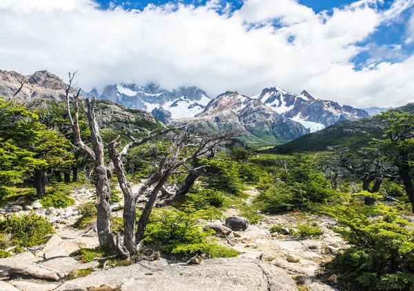 Visa Molniga Och Snötäckta Anderna Berg Nära Chalten Stad Argentina — Stockfoto