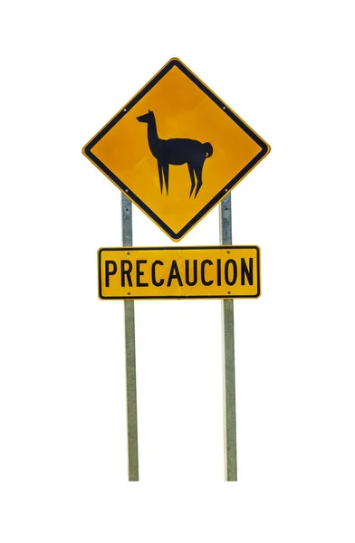 Chilean Sign Lama Crossing Road Isolated White — Stock Photo, Image