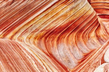 Taşlaşmış kum tepeciğinin ayrıntılı doğal arka planı. Dalga, Coyote Buttes North 'ta muhteşem bir girdap halinde antik bir kumtaşı formasyonu. Arizona, ABD