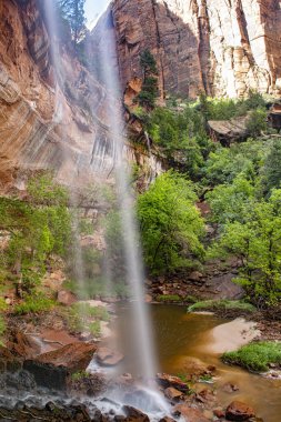 Utah, Zion Ulusal Parkı 'ndaki Lower Emerald Havuzu' na düştü. Uzun pozlama