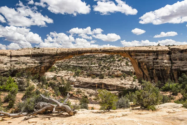 Owachomo Bridge Natural Bridges National Monument Utah Förenta Staterna — Stockfoto