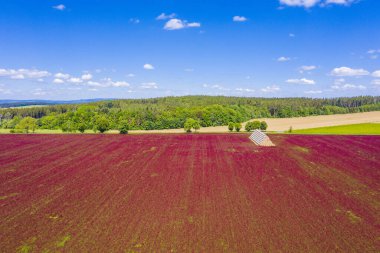 Kırmızı çiçek açan yonca tarlası (Trifolium incarnatum) ve yukarıdan görünen balya yığını