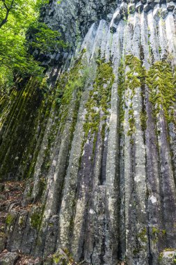 Güney Slovakya Somoska 'da Stone Waterfall olarak bilinen bazalt sütunları. Siatorska bukovina, Slovakya