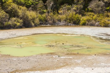 Yeni Zelanda, Wai-O-Tapu jeotermal bölgesinde Papa Wera adında güzel bir turkuaz gölü.