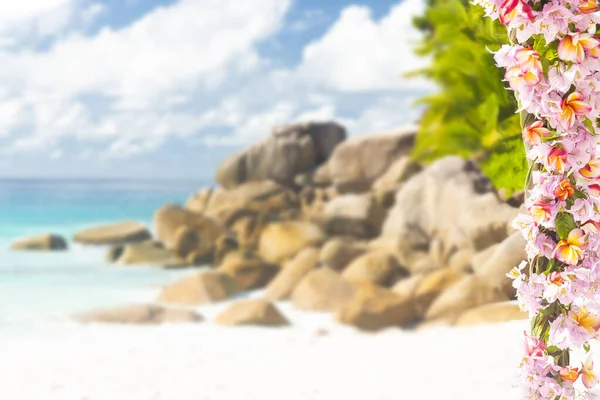 Rosafarbener Hochzeitskranz Aus Orchideenblumen Und Seychellen Strand Rücken Verschwommen — Stockfoto