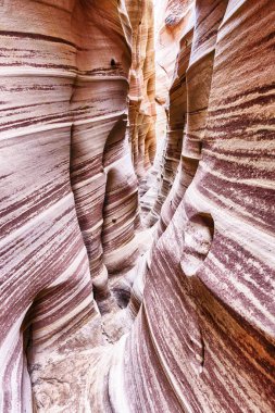 Zebra Kanyonu canlı çizgili ve çok dar bir geçittir. Yapay zig-zag şekilleri su tarafından yaratıldı. Grand Staircase-Escalante Ulusal Anıtı, Utah. ABD