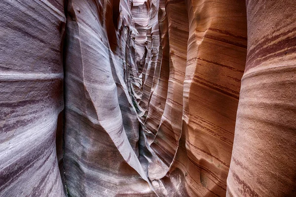 斑马峡谷是一个鲜明的条纹和非常狭窄的峡谷 令人毛骨悚然的锯齿状形状是由水造成的 犹他州大楼梯 埃斯卡兰特国家纪念馆 — 图库照片