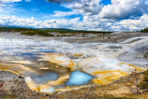 Gőzölgő Átlátszatlan Termálmedencék Norris Geyser Medencében Yellowstone Nemzeti Park Wyoming — Stock Fotó