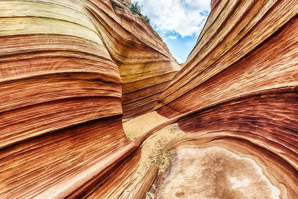 Wave Awesome Vivid Swirling Petrified Dune Sandstone Formation Coyote Buttes — Stock Photo, Image
