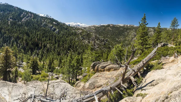 Panoramic View Stanislaus National Forest Sierra Nevada Mountains Route California — Stock Photo, Image