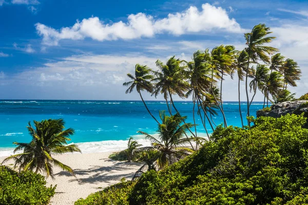 Bottom Bay Una Delle Spiagge Più Belle Dell Isola Caraibica — Foto Stock