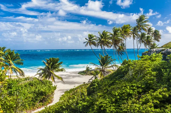 Bottom Bay One Most Beautiful Beaches Caribbean Island Barbados Tropical — Stock Photo, Image