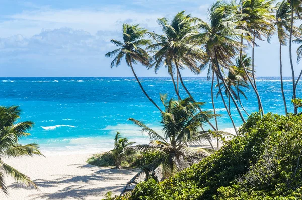 Bottom Bay Jest Jedną Najpiękniejszych Plaż Karaibskiej Wyspie Barbados Jest — Zdjęcie stockowe