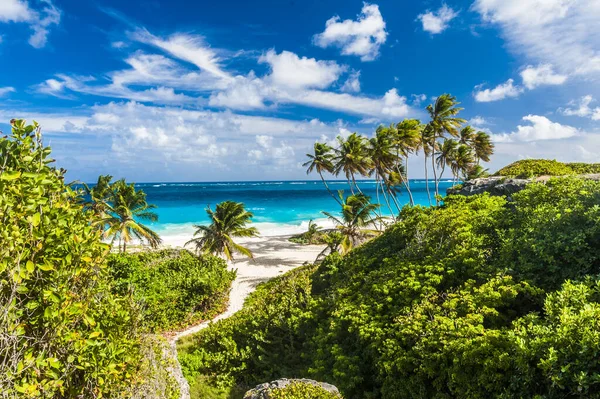 Bottom Bay Jednou Nejkrásnějších Pláží Karibském Ostrově Barbados Tropický Ráj — Stock fotografie