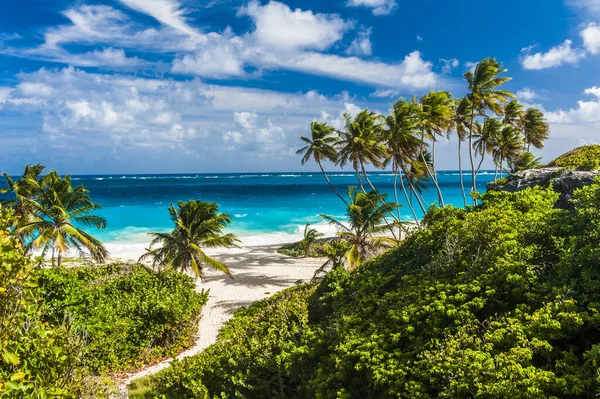 Bottom Bay Una Delle Spiagge Più Belle Dell Isola Caraibica — Foto Stock