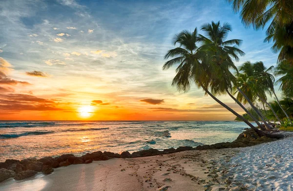 Gyönyörű Naplemente Tenger Felett Kilátással Kókuszpálmák Fehér Tengerparton Egy Karibi — Stock Fotó
