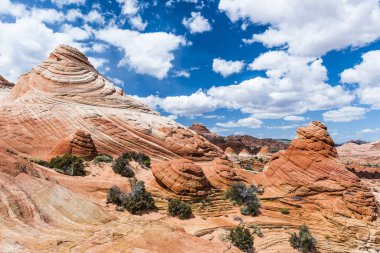 Coyote Buttes North 'ta canlı kumtaşı oluşumu. Bu oluşumlar Kanab, Utah ve Page, Arizona şehirleri arasındaki Paria Canyon-Vermilion Cliffs Wilderness 'de görülebilir. ABD. 