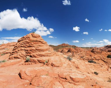 Coyote Buttes North 'ta canlı kumtaşı oluşumu. Bu oluşumlar Kanab, Utah ve Page, Arizona şehirleri arasındaki Paria Canyon-Vermilion Cliffs Wilderness 'de görülebilir. ABD. 